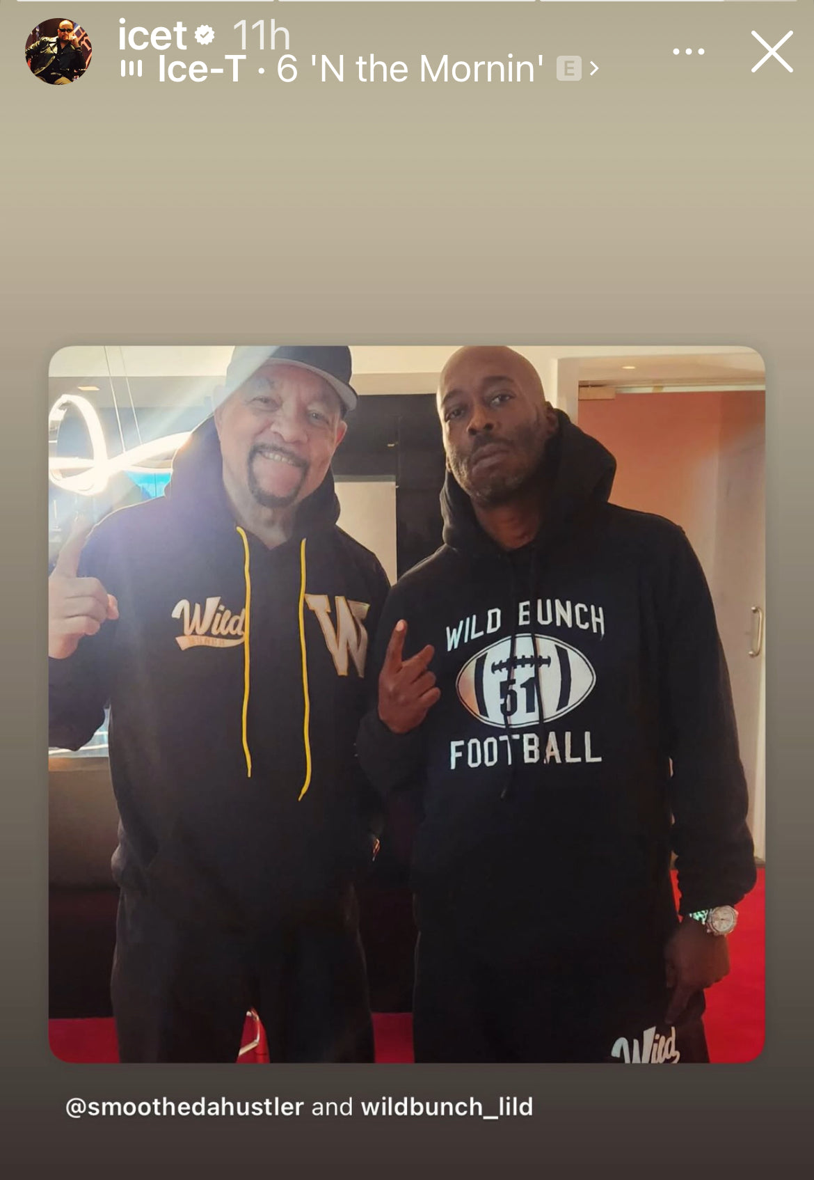 Wildbunch  Hoodie